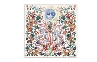 DIOR Silk Scarves Women's Multicolor