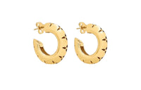 LOUIS VUITTON Lv Crown Earrings