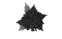 SAINT LAURENT Brooches Women's Black
