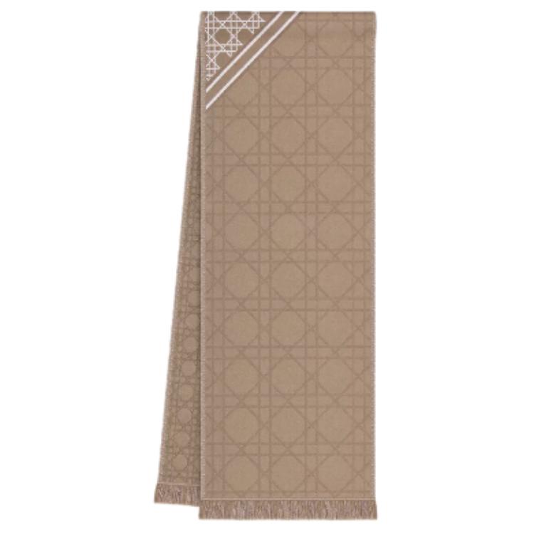 DIOR Wool Knit Scarves Men's Beige