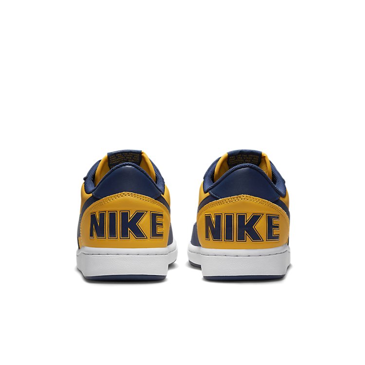 Nike Terminator Low 'Michigan' FJ4206-700