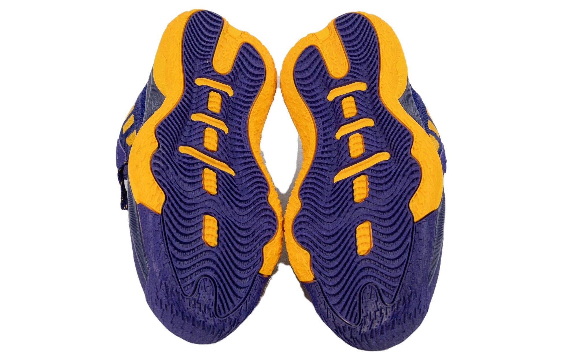 adidas Dame 8 'Washington Huskies Commemorative Classic' PE GZ4484