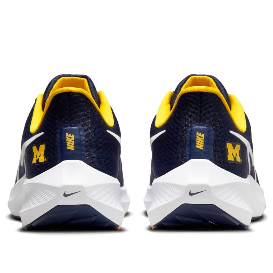 Nike Air Zoom Pegasus 39 'Michigan' DR1964-400