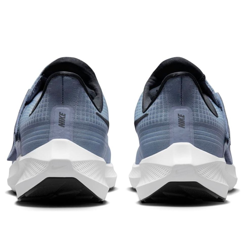 Nike Air Zoom Pegasus 39 'Ashen Slate' DJ7381-400