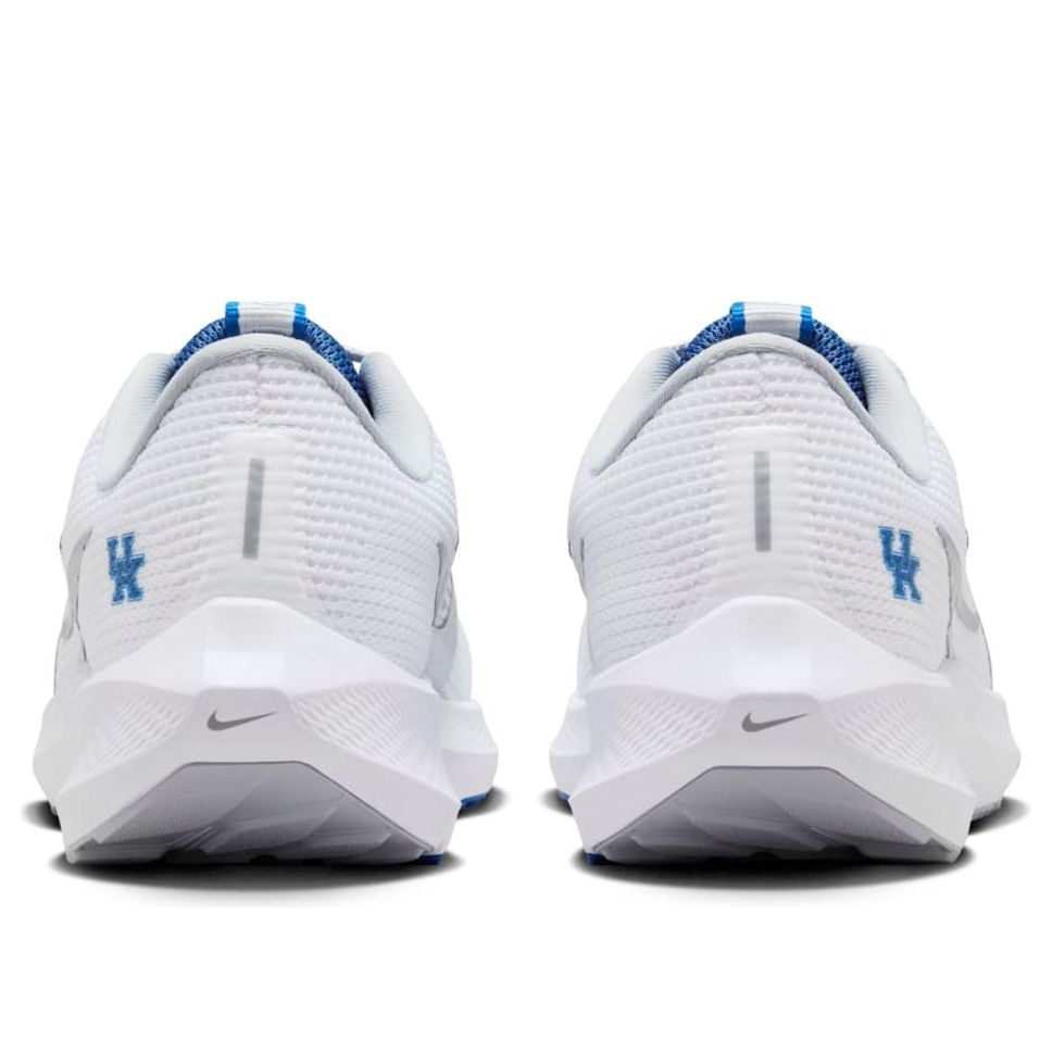 Nike Air Zoom Pegasus 40 'Kentucky' DZ5986-100