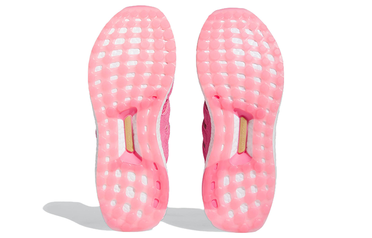 (WMNS) adidas Ultraboost 1.0 'Pink Fusion Gold' ID9664