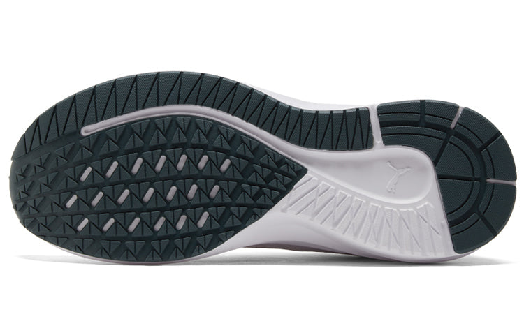PUMA Aviator ProFoam Sky 'White Dark Slate' 376615-04