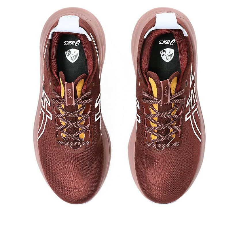 (WMNS) ASICS Gel-Nimbus 27 TR 'Nature Bathing Dark Red Planet'  1012B908-600