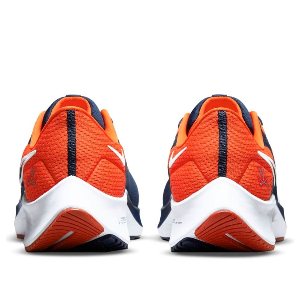 Nike Air Zoom Pegasus 38 'Virginia' DJ0863-400