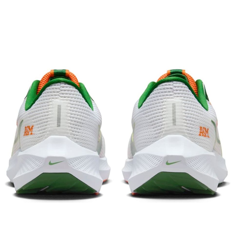 Nike Air Zoom Pegasus 40 'Florida A&amp;M University' DZ5941-100