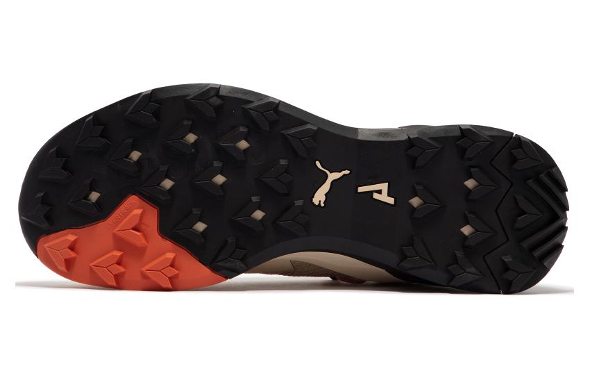 PUMA Explore Nitro 'Granola' 377854-02