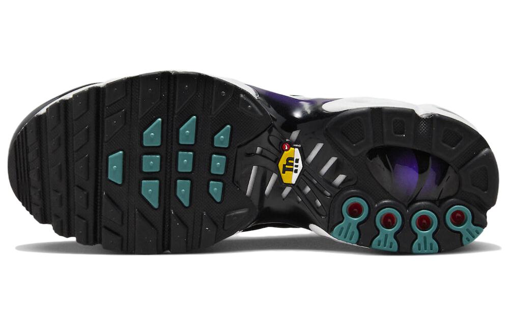 (GS) Nike Air Max Plus 'Reverse Grape' FQ2412-500