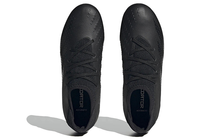 (GS) adidas Predator Accuracy.3 FG 'Black' GW4610