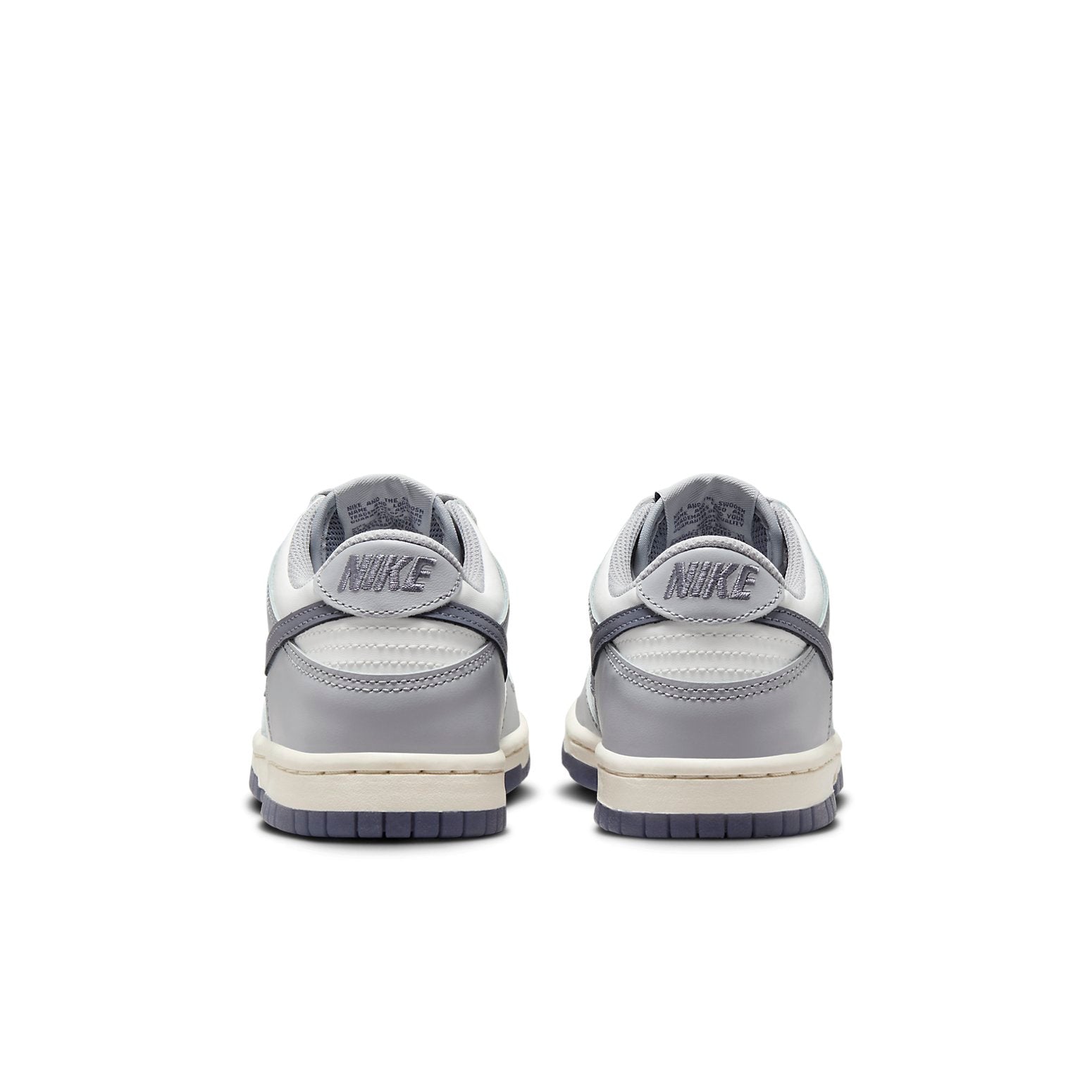 (GS) Nike Dunk Low 'Platinum Tint Light Carbon' FB9109-101