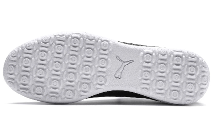 PUMA Future 19.4 TT 105548-02