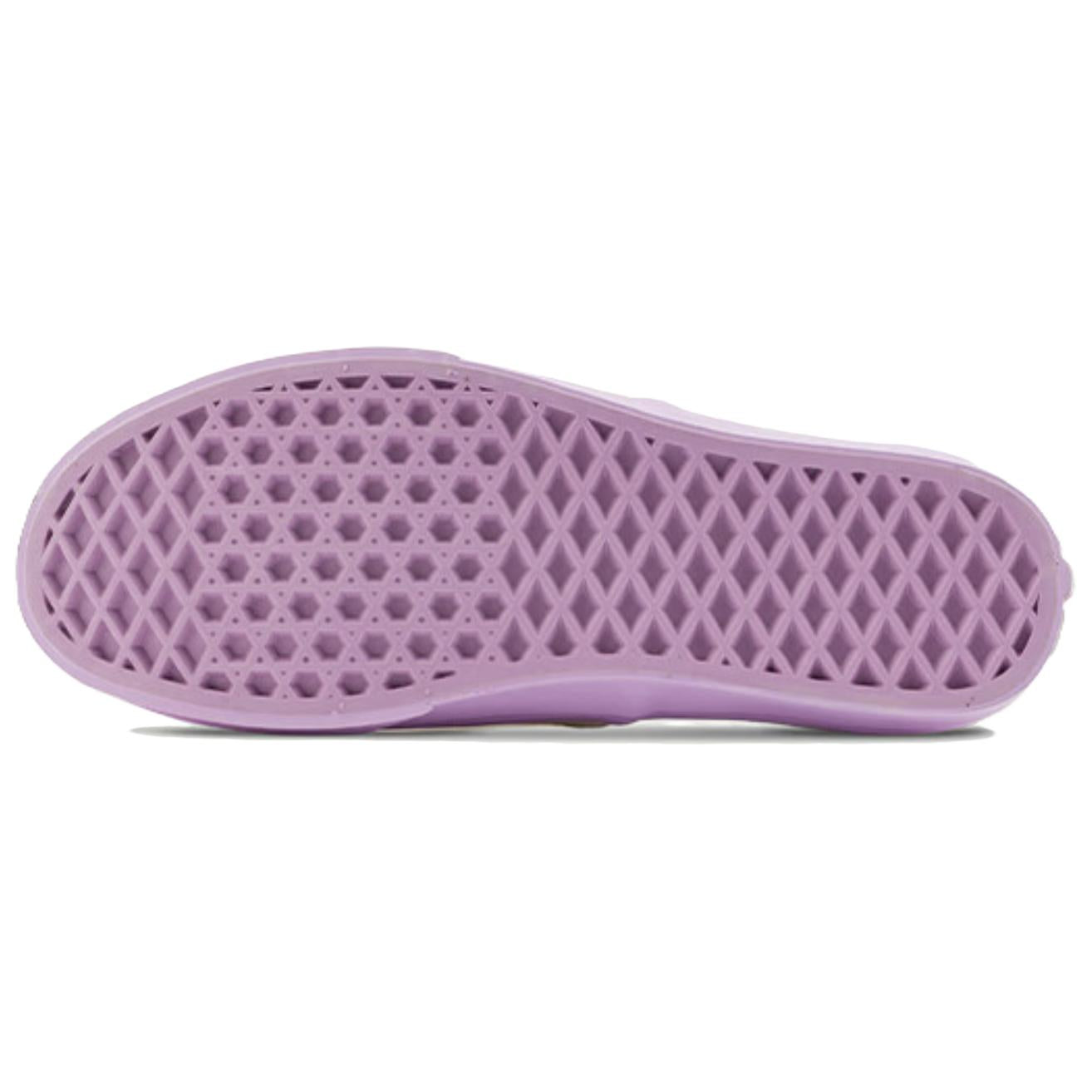 Vans Authentic Canvas Shoes 'Canvas Marshmallow Purple' VN0009PVCGX