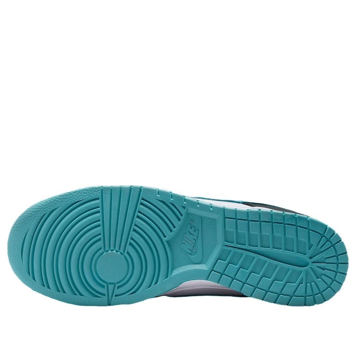 Nike Dunk Low 'Black Dusty Cactus' DV0833-109