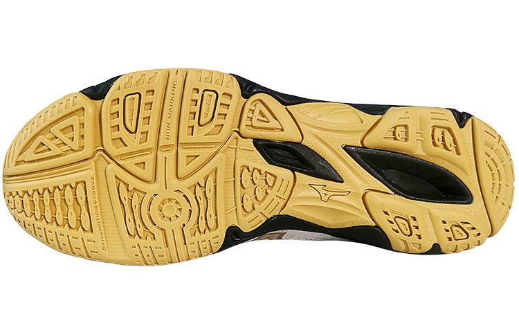 Mizuno Sky Blaster 'SlipResistant Durable Low Badminton' 71GA234601