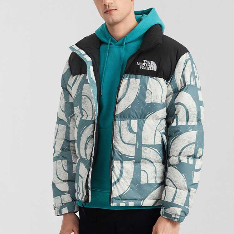 THE NORTH FACE 1996 Retro Nuptse 700 NF0A5IX4-537