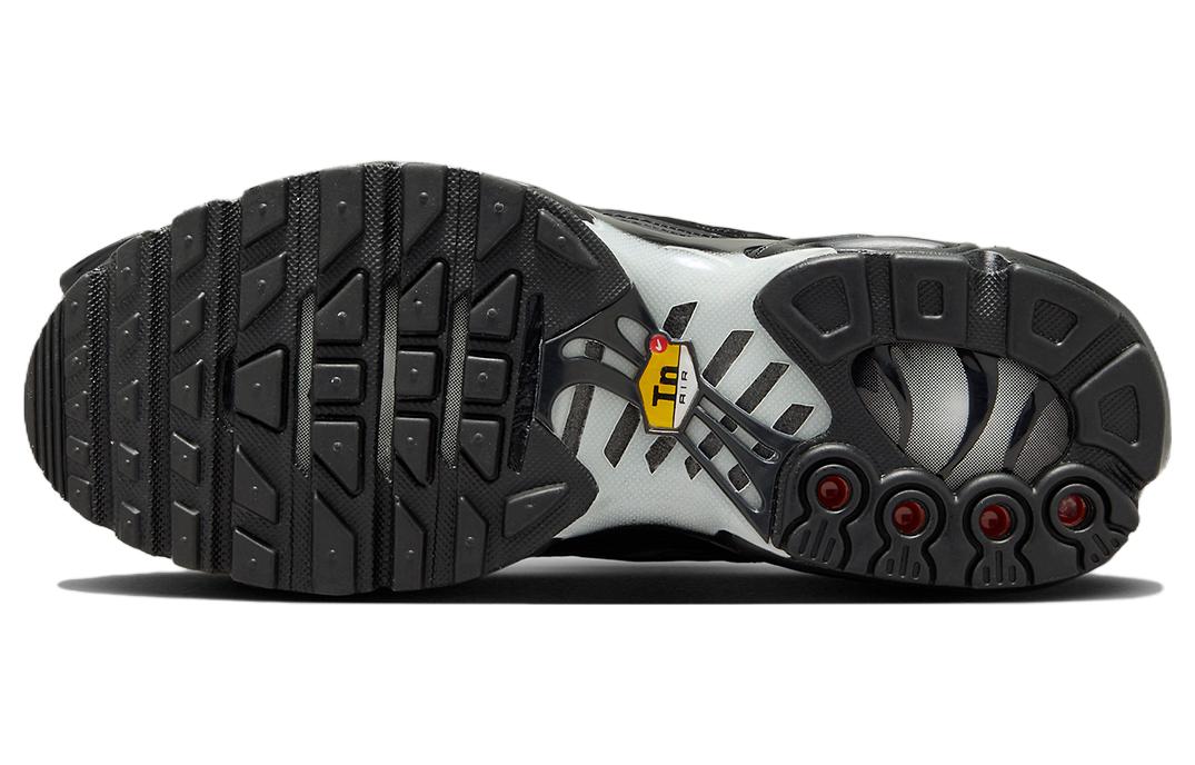 (WMNS) Nike Air Max Plus 'Black Anthracite Sail' FV1169-001