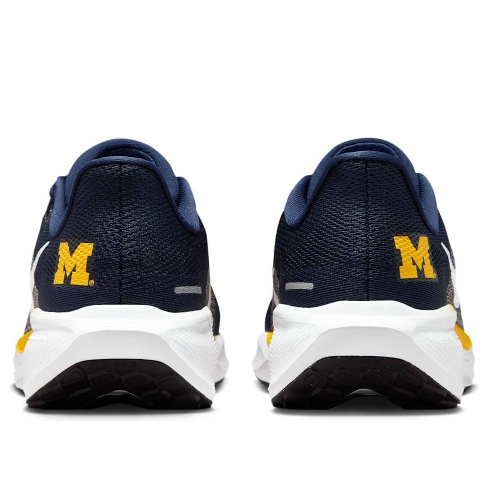 Nike x NCAA Pegasus 41 'Michigan' IB3269-400