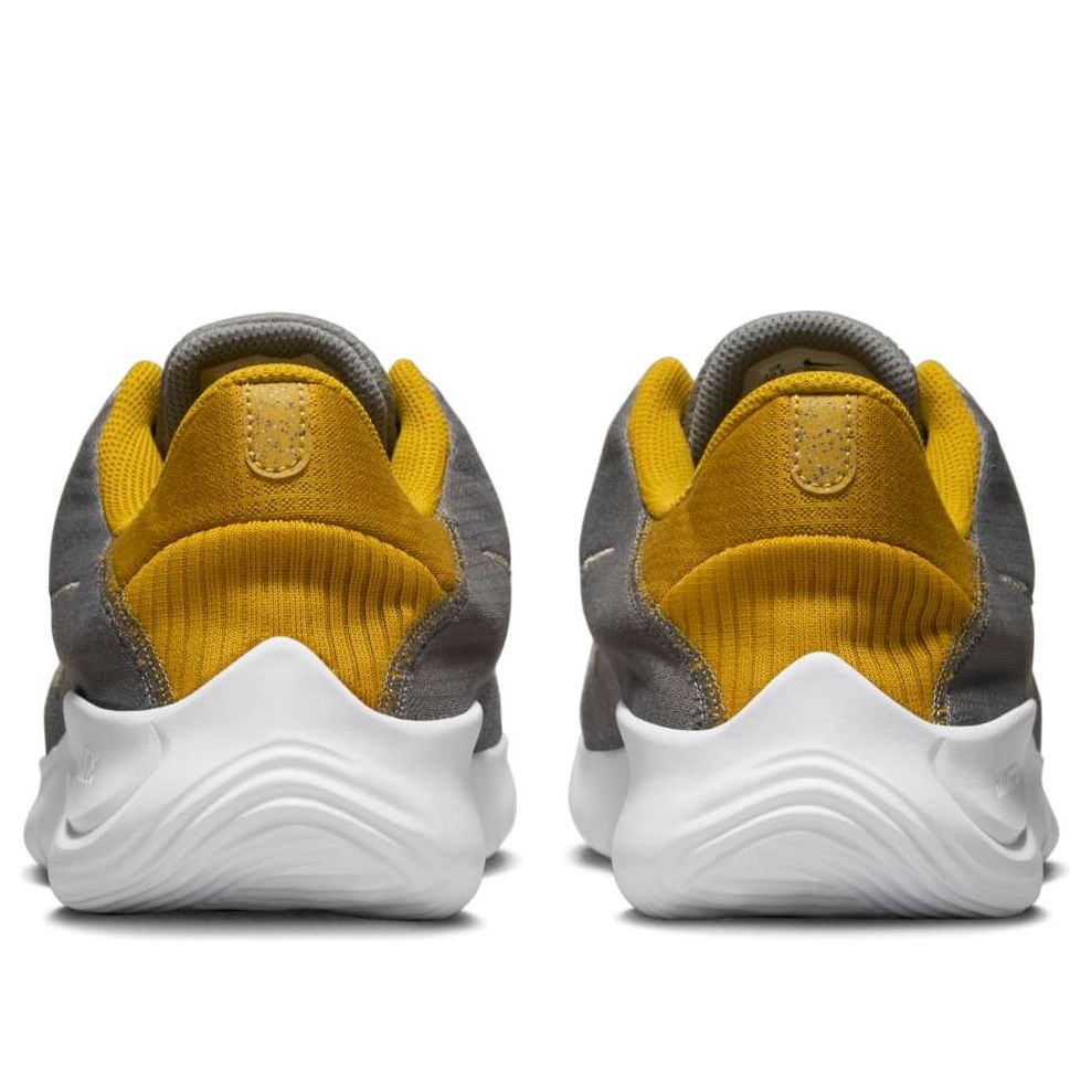 Nike Flex Experience Run 11 Next Nature 'Flat Pewter Gold' DD9284-009