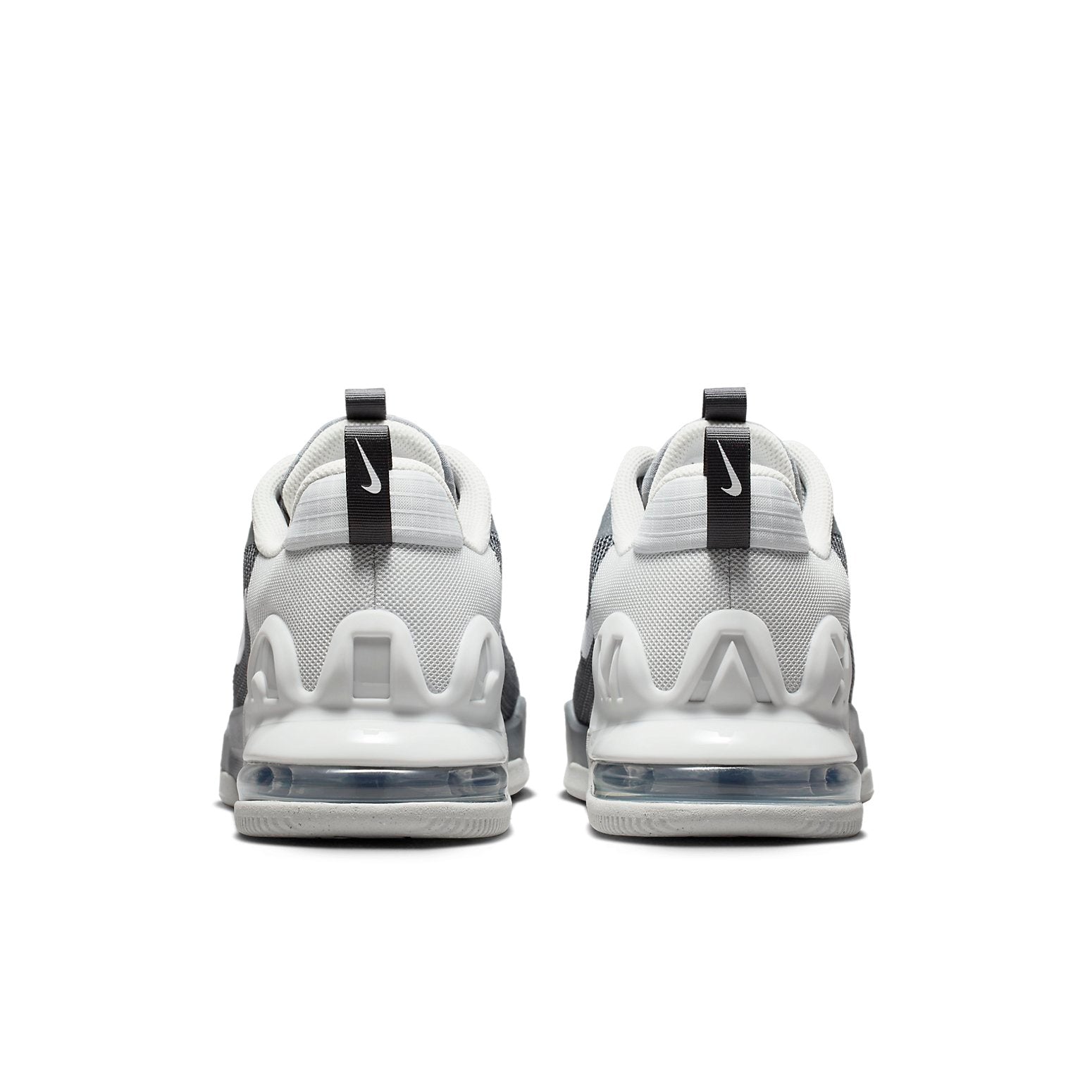 Nike Air Max Alpha Trainer 5 'Iron Grey' DM0829-007