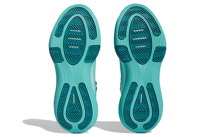 adidas Bounce Legends Shoes 'Flash Aqua' IE9279