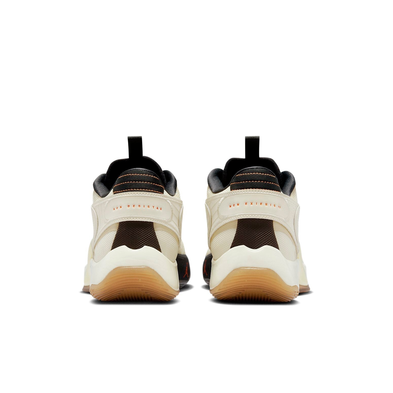 Air Jordan Luka 2 'Neutral' DX8733-100