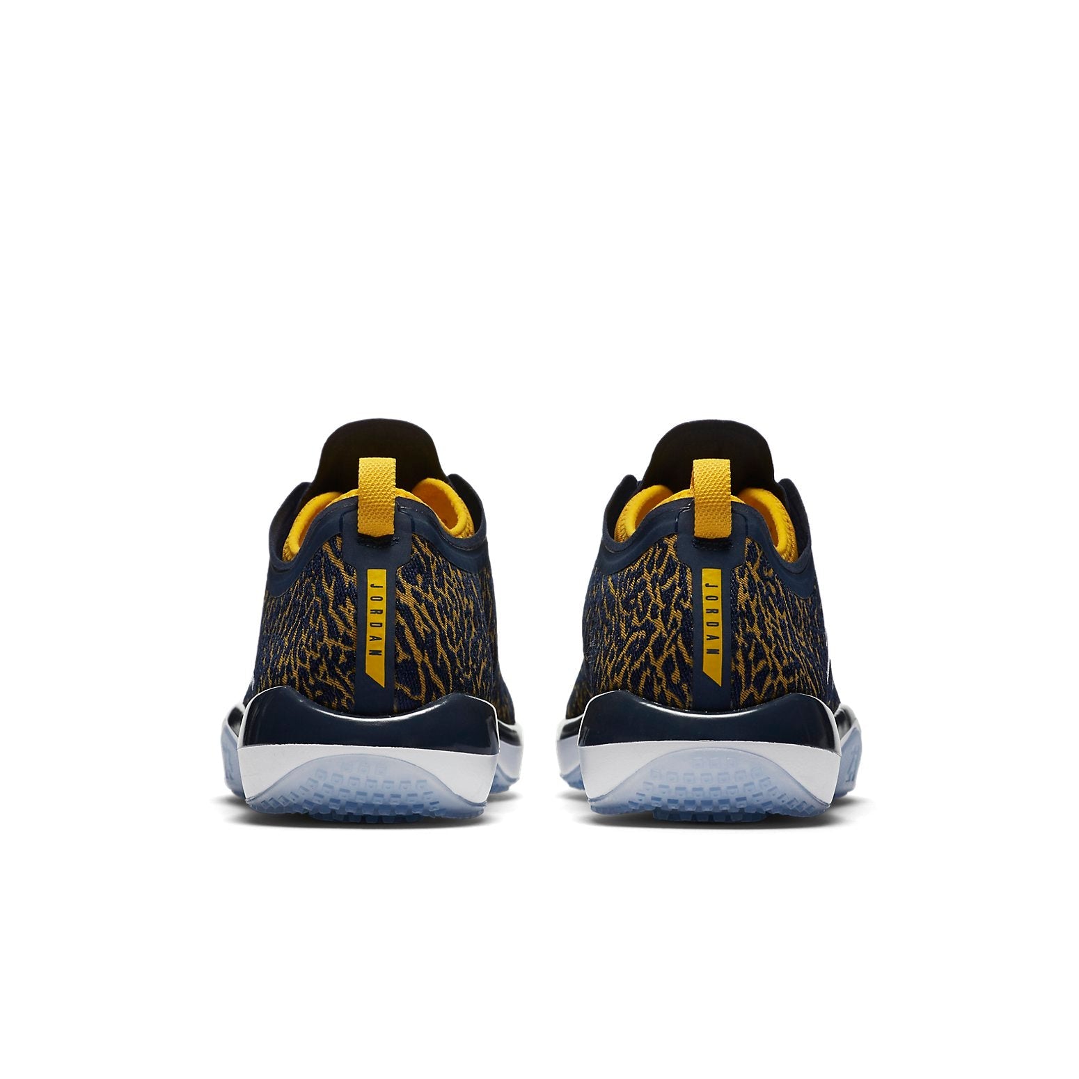 Air Jordan Trainer 1 Low 'Michigan' 845403-420