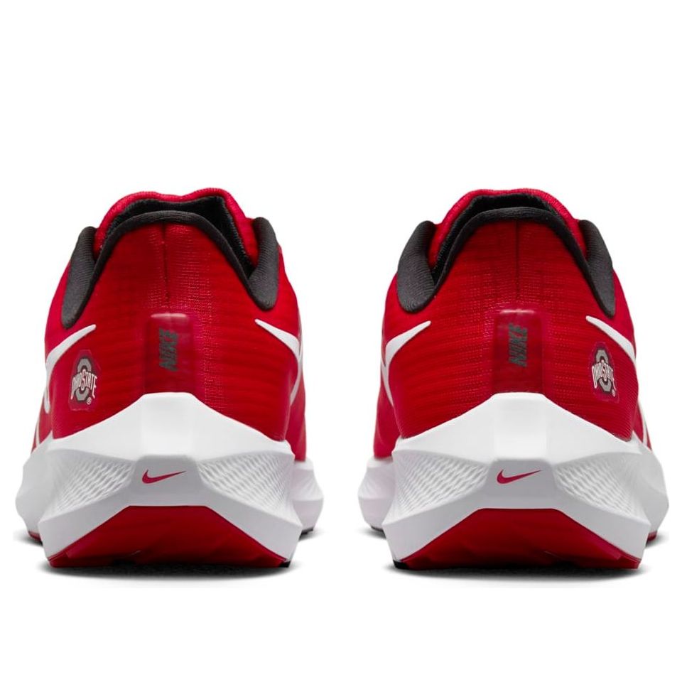 Nike Air Zoom Pegasus 39 'Ohio State' DR1966-600