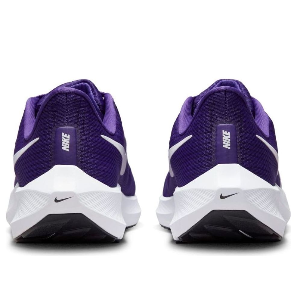 Nike Air Zoom Pegasus 39 TB 'Court Purple' DM0164-500