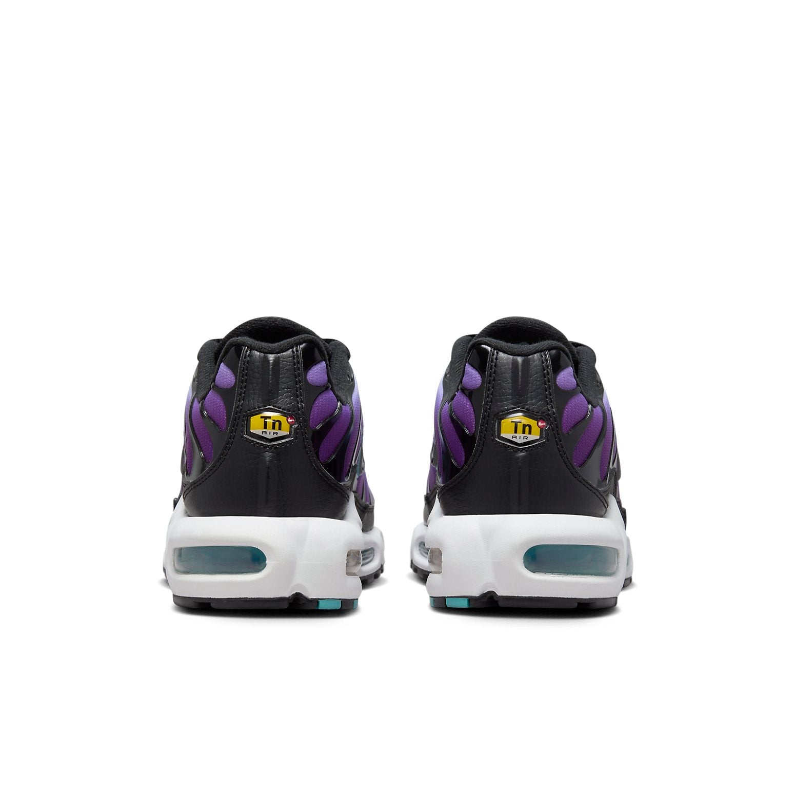 Nike Air Max Plus 'Reverse Grape' FQ2415-500