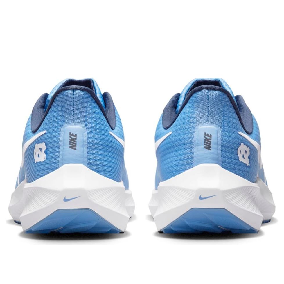 Nike Air Zoom Pegasus 39 'UNC' DR1967-400