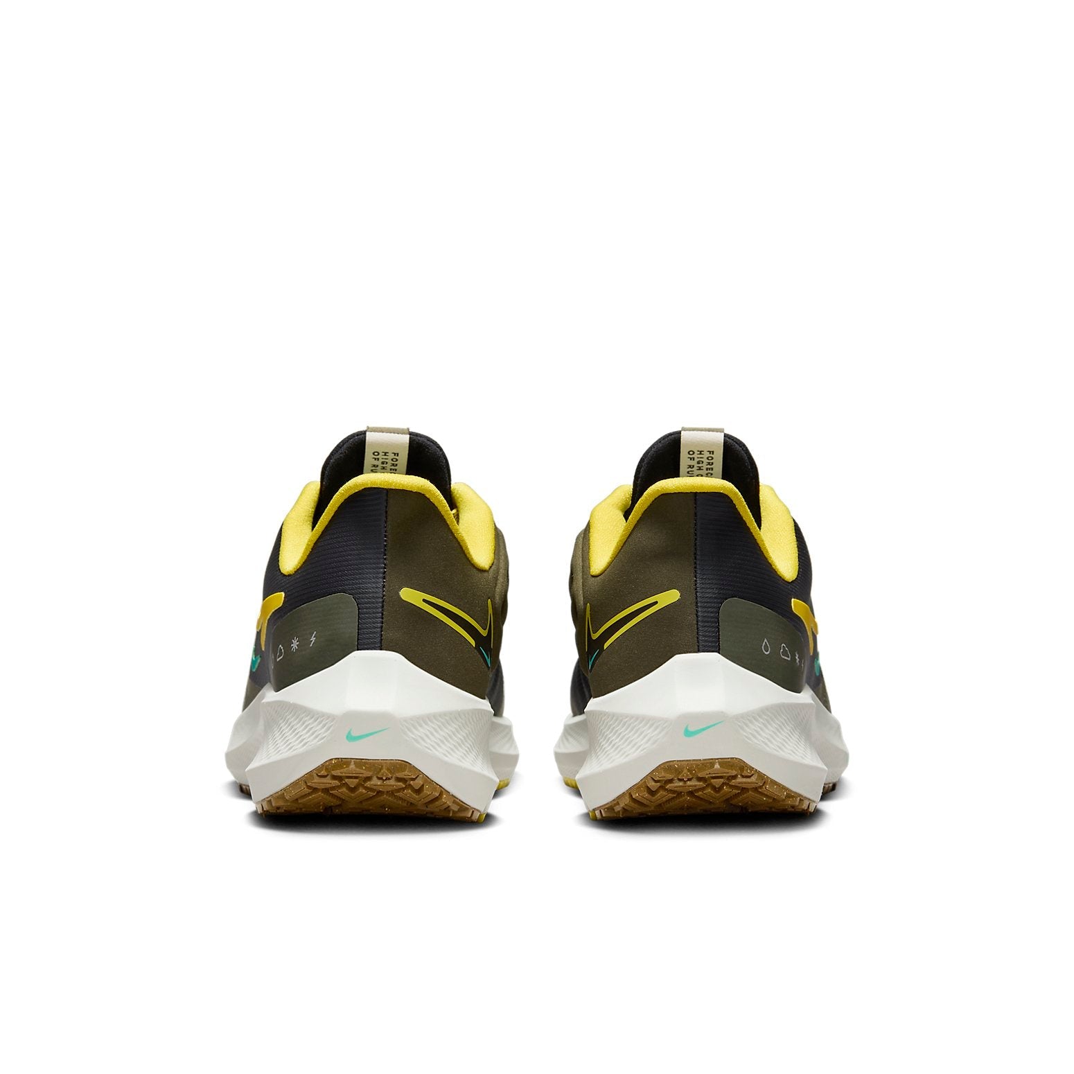 Nike Pegasus Turbo Shield 'Black Golden Beige' FV8107-070