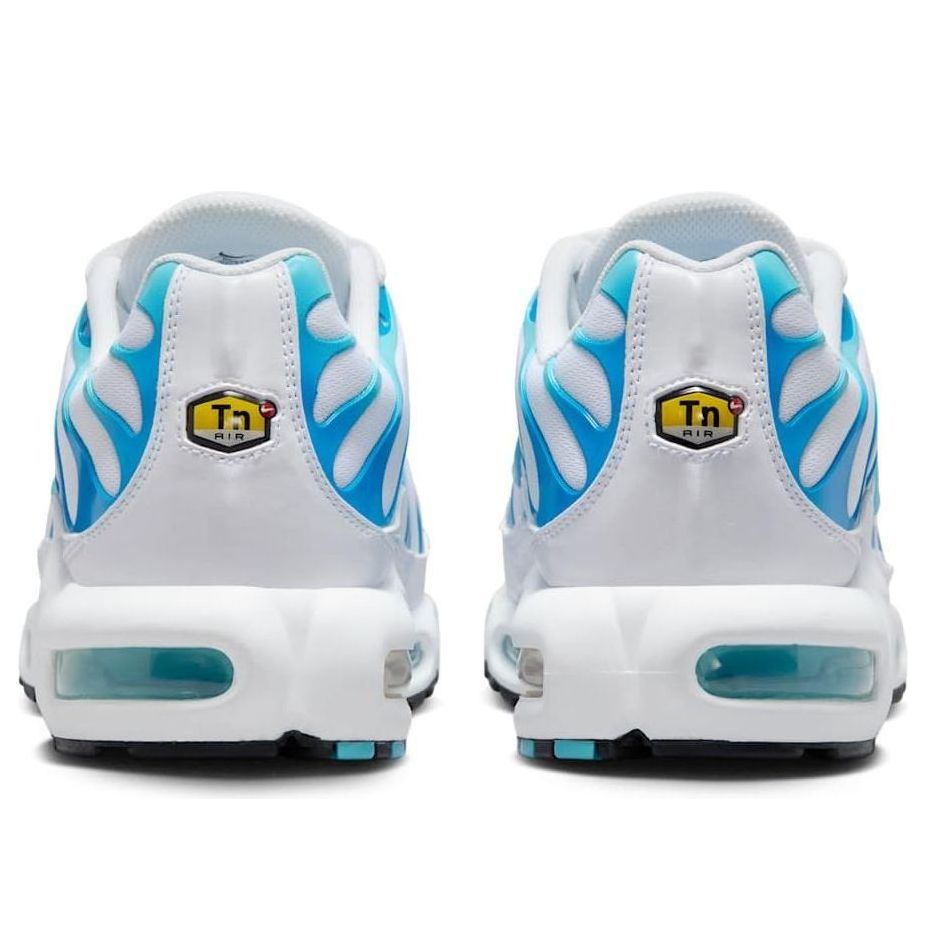 Nike Air Max Plus 'White Polarized Blue' 604133-135