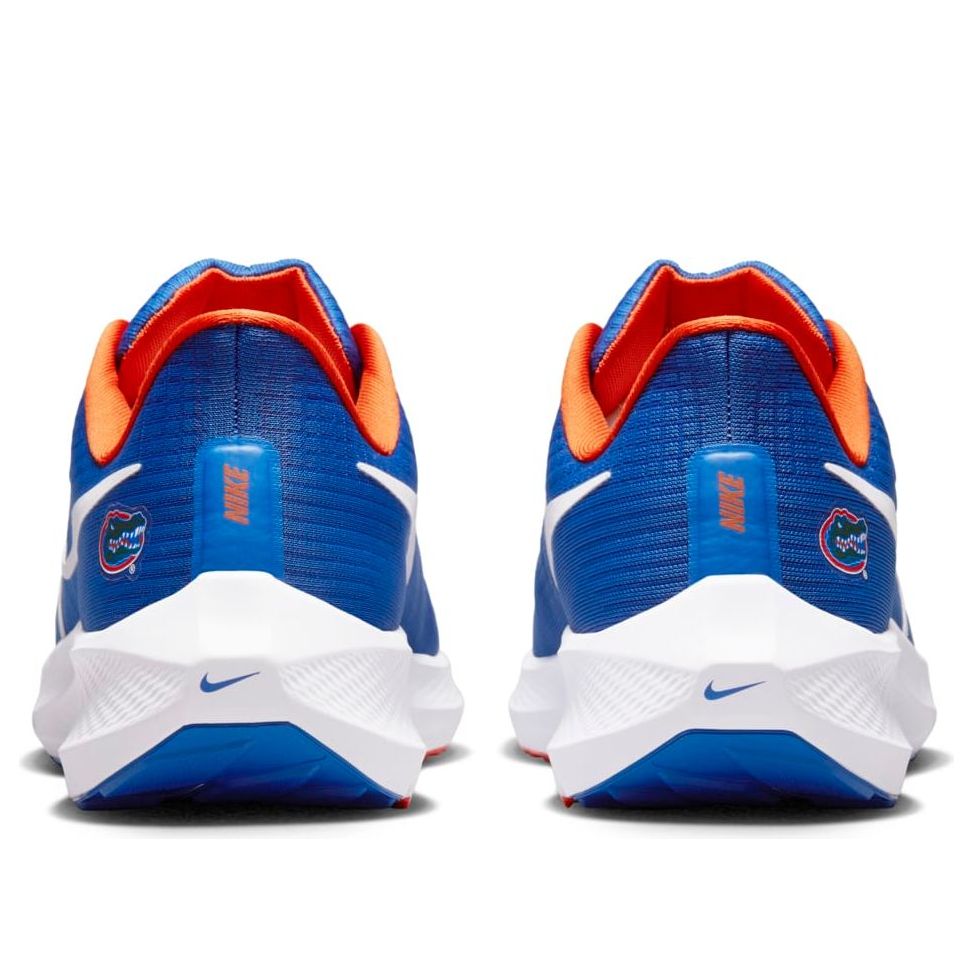 Nike Air Zoom Pegasus 39 'Florida Gators' DR1962-400