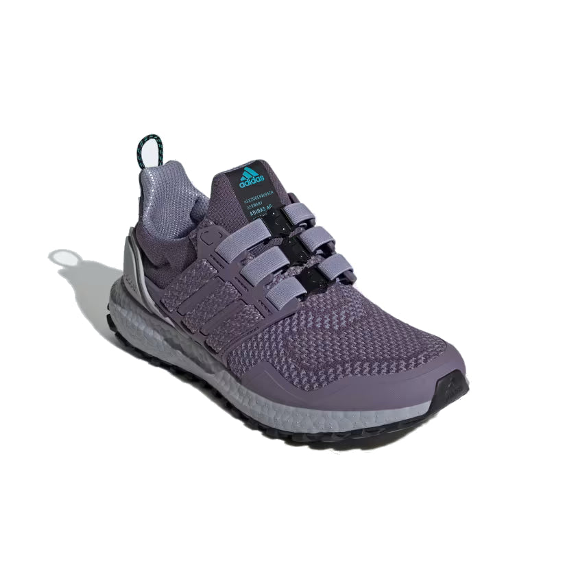 (WMNS) adidas Ultraboost 1.0 'Shadow Violet' IG5344