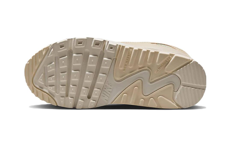 (PS) Nike Air Max 90 Leather 'Phantom Shimmer' DZ5319-001