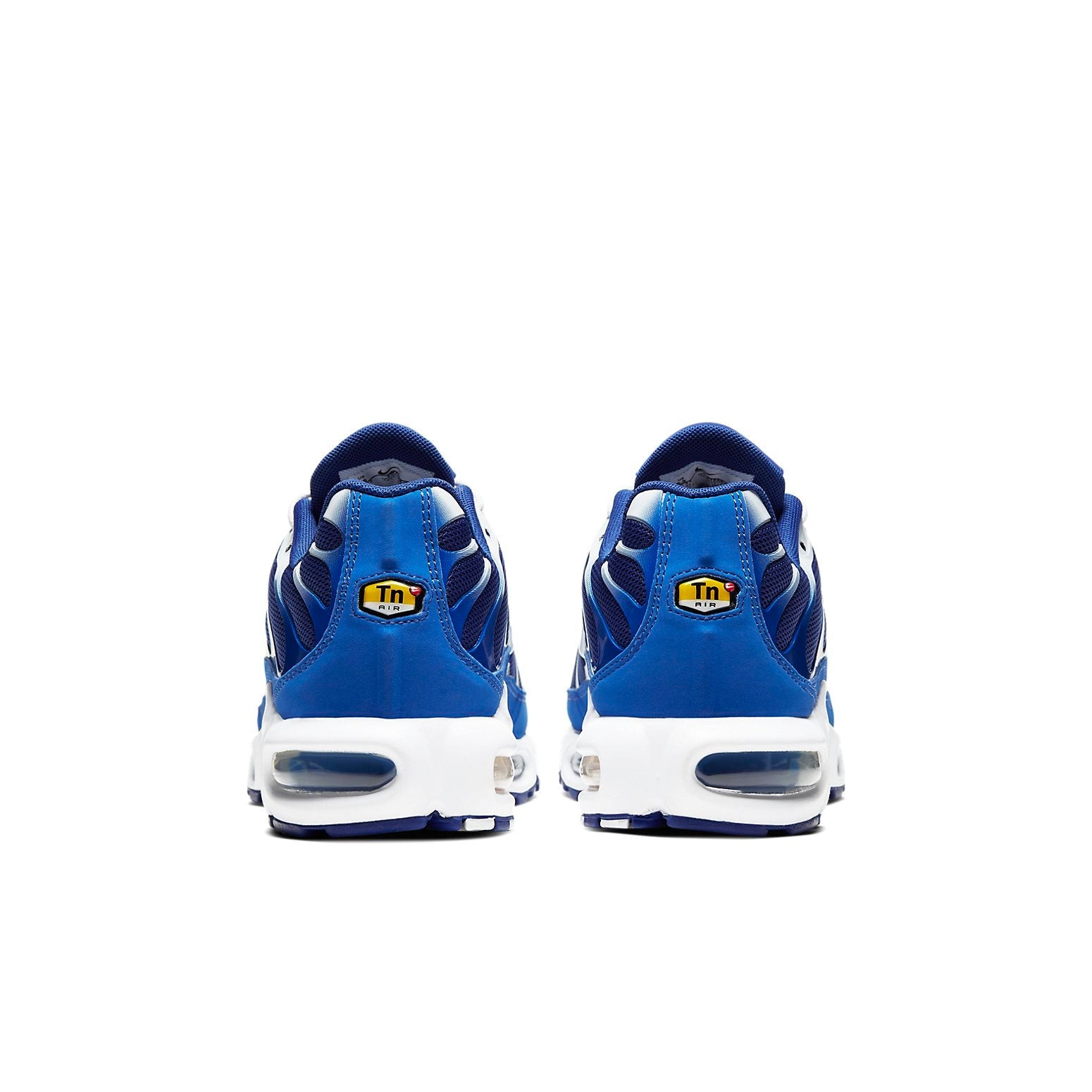 Nike Air Max Plus 'Arctic Chill' CW7024-400