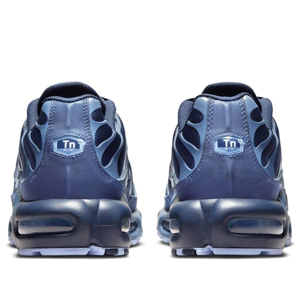 Nike Air Max Plus 'Obsidian Aluminum' IM6601-451