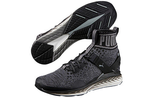 PUMA Ignite evoKnit 'Asphalt Quiet Shade' 189895-01