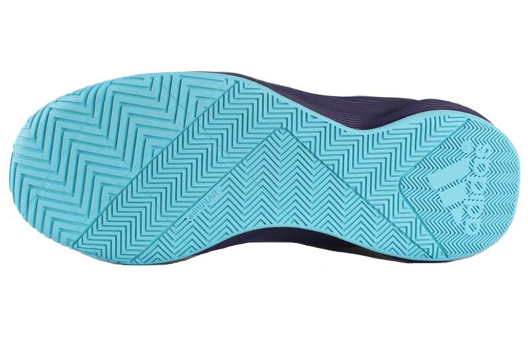 adidas Crazylight 2.5 Active Shoes 'Royal Blue' AQ8599