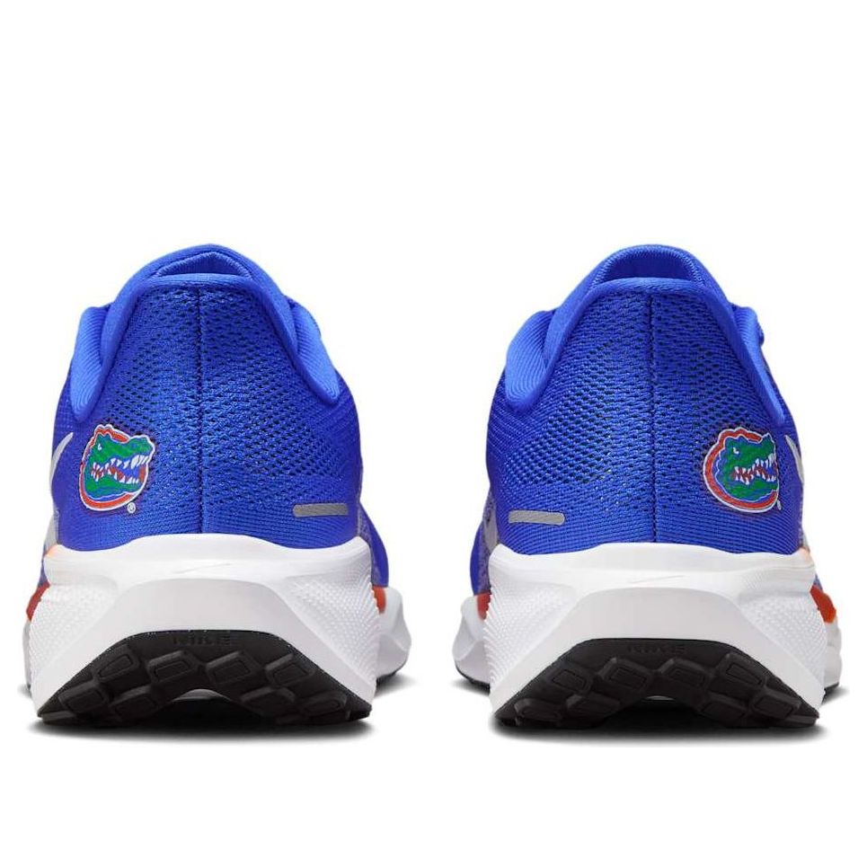 Nike x NCAA Pegasus 41 'UF' IB3251-400