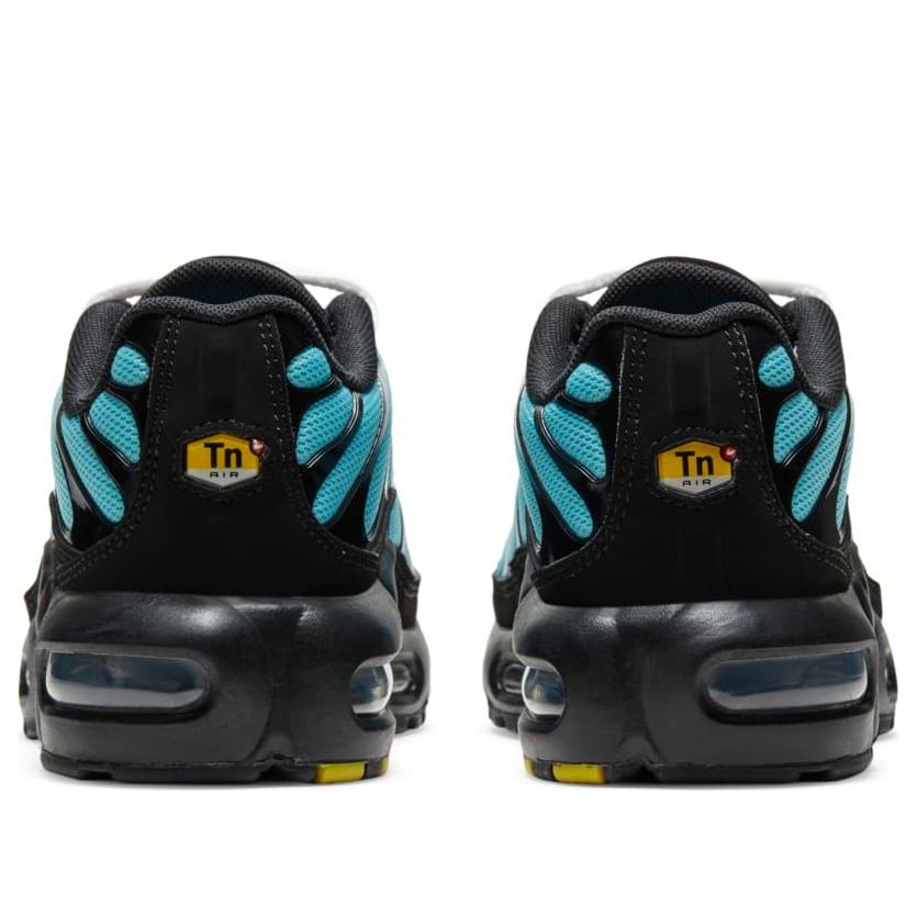 (GS) Nike Air Max Plus 'Aqua' CD0609-405