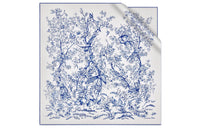 DIOR Silk Scarves Women's Blue/White