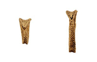 SAINT LAURENT Earrings Women's Brown