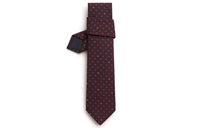 HERMES Ties Men Red Brown