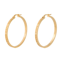 CELINE Paris Large Hoops In Brass With Gold Finish