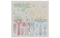 HERMES Shawls Women's